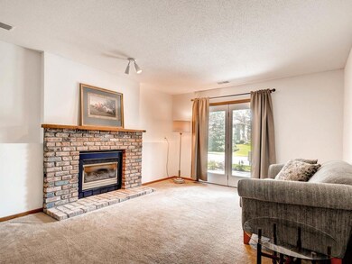 Completely finished lower level with a fireplace a