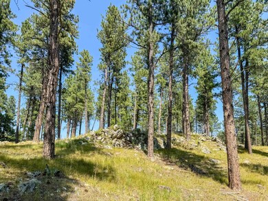 Tract Campfire Three Meadows Rd unit Lakota Lakes, East Custer, SD 57751 - photo 4