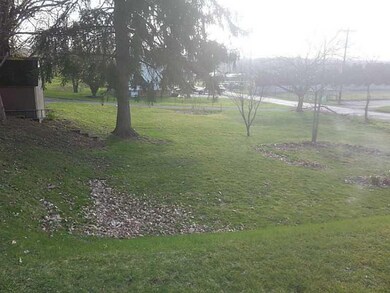 Yard/Garden.