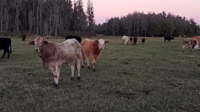 0 Moore Rd unit MFRO6280819, Lakeland, FL 33809 - photo 6