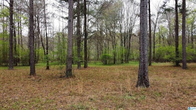 551 Liberty Shores Blvd, Vincent, AL 35178 - photo 3