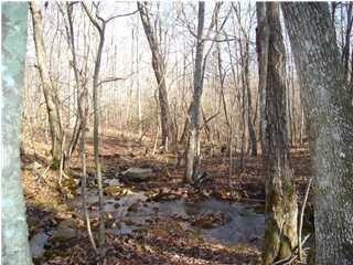 0 Quill Haven Ln unit RTC2913543, Signal Mountain, TN 37377 - photo 3