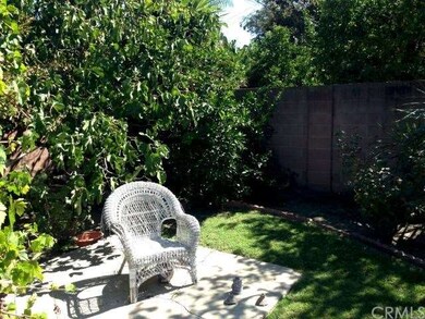 Back yard