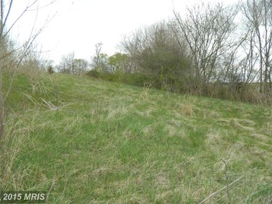 0 Ira Hoffman Ln unit 1002937986, Culpeper, VA 22701 - photo 2