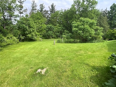 Partial view of the back yard.
