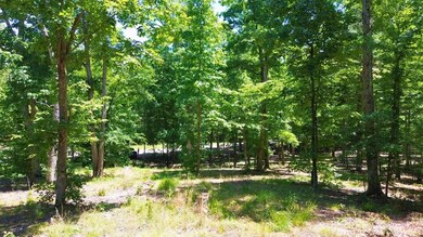 8121 Lick Creek Rd, Big Sandy, TN 38221 - photo 5