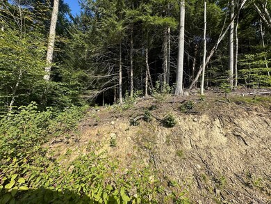 90 Old Swanzey Rd, Winchester, NH 03470 - photo 7