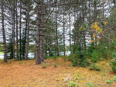 W8603 Wauwatosa Ave, Tomahawk, WI 54487 - photo 5