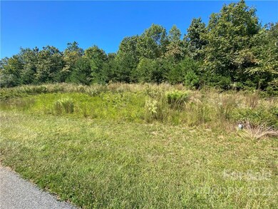 0 Hickory Loop Rd unit 23, Rutherfordton, NC 28139 - photo 3