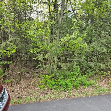 211 Alter Ave, Pocono Summit, PA 18346 - photo 4