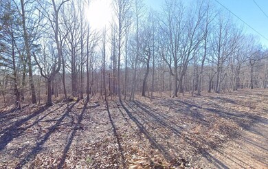 0 Eagle Dr, Eucha, OK 74342 - photo 4