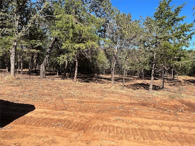 TBD Annahill, Whitesboro, TX 76273 - photo 3