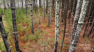 26 Peninsula Reserve Rd unit 26, Nebo, NC 28761 - photo 7