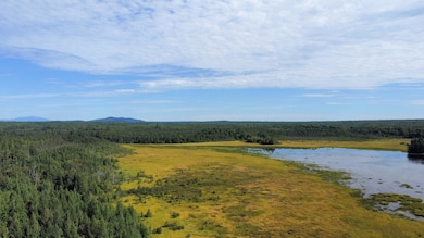 194 Seboeis Rd, Howland, ME 04448 - photo 5