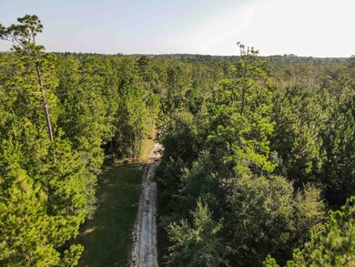 3193 Old Thomasville Rd, Dixie, GA 31629 - photo 4