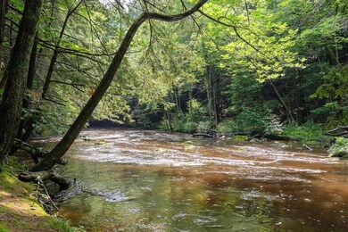 River1