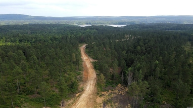 TBD the Plantation Rd, Kirby, AR 71950 - photo 3