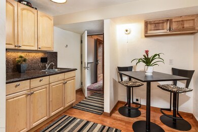 718 S Mill St unit 13, Aspen, CO 81611 - photo 6