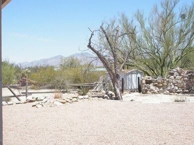 View from the Patio