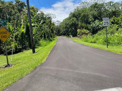 15-174 Puni Lapa Loop N, Hawaiian Beaches, HI 96778 - photo 2