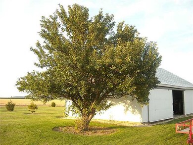 3740 Custar Rd, Deshler, OH 43516 - photo 5