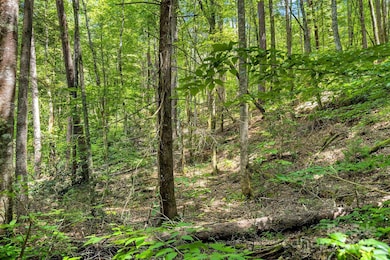 0 Buffalo Creek Rd unit CAR4155198, Lake Lure, NC 28746 - photo 7