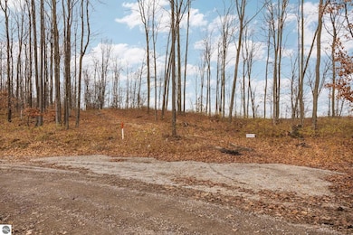 Lot E Retreats Way, Rapid City, MI 49676 - photo 5