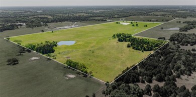 TBD Cr 130 (84 Acres ), Whitesboro, TX 76273 - photo 4