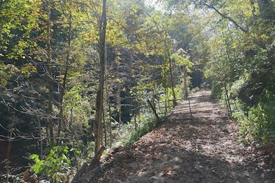 TBD Upper Possum Creek Rd, Gate City, VA 24251 - photo 5