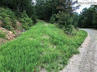 Lot 212 Casey Mountain Rd, Purlear, NC 28665 - photo 5