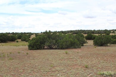 9112 Texas Lane Pfiffer (5)