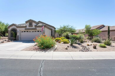 Landscaped Yard