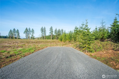 133 Beckett Ln, Chehalis, WA 98532 - photo 4