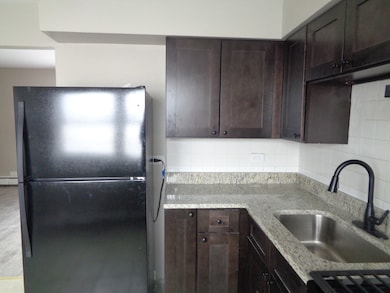 7323 W 79th St unit B, Bridgeview, IL 60455 - photo 5