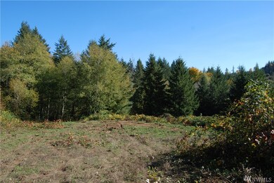 155 Nix Rd, Chehalis, WA 98532 - photo 4