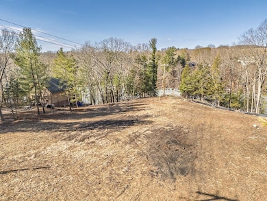 L16 Mockingbird Whippoorwill Ct, La Valle, WI 53941 - photo 6