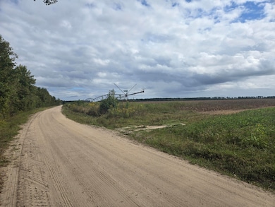 0 Blewer, Cope, SC 29038 - photo 5