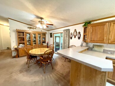 104 W Sycamore St, Malden, IL 61337 - photo 6