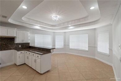 841 Brady Ave, Alamo, TX 78516 - photo 4