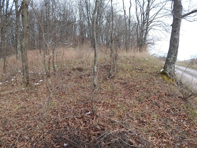 00 Seckman Ridge, St. Marys, WV 26170 - photo 5