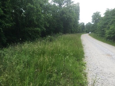 Lot on left looking back out Mountain Dr road