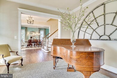 8707 Winthrop Dr, Alexandria, VA 22308 - photo 7