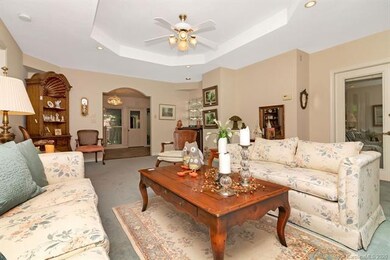 Living Room/Tray Ceiling