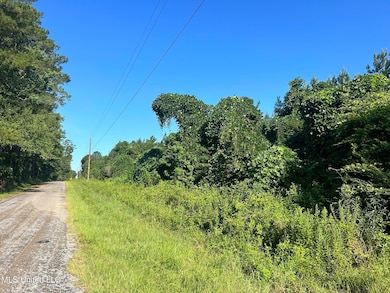 0 Mccullough Rd SE, Bogue Chitto, MS 39629 - photo 2