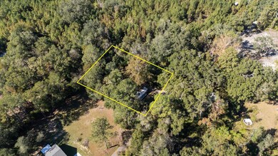 159 W Notre Dame St, Monticello, FL 32344 - photo 5