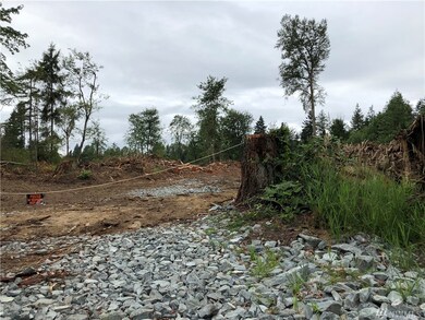 27148 Meridian E, Graham, WA 98338 - photo 5