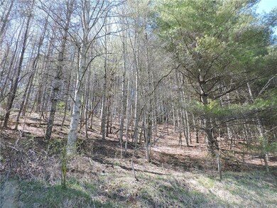 505 Jr Pate Rd, Burnsville, NC 28714 - photo 7