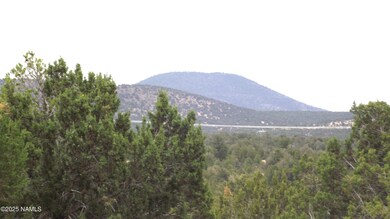 1641 Lara Ln, Williams, AZ 86046 - photo 3