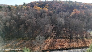 1253 Bacontown Rd, Nicholson, PA 18446 - photo 3