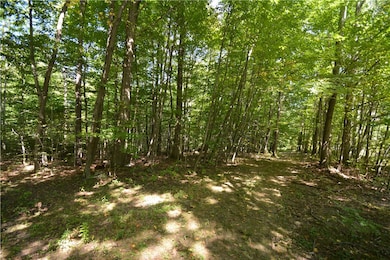 6495 Edson Rd, Naples, NY 14512 - photo 5